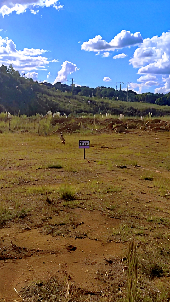 #18 - Área para Venda em Caçador - SC