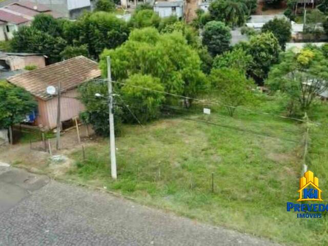 #1 - Área para Venda em Caçador - SC - 3