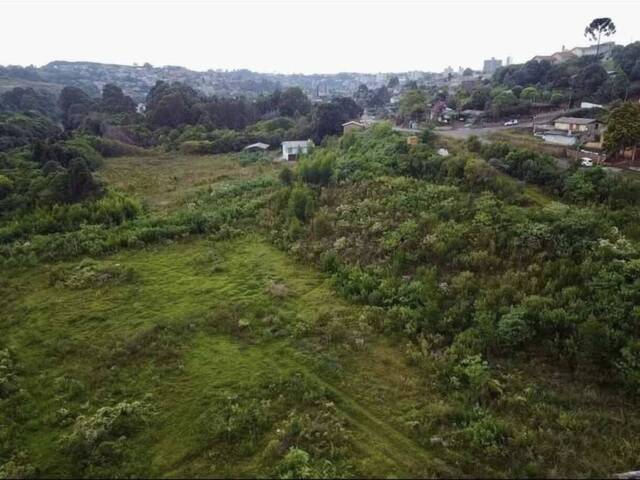 #4 - Área para Venda em Caçador - SC