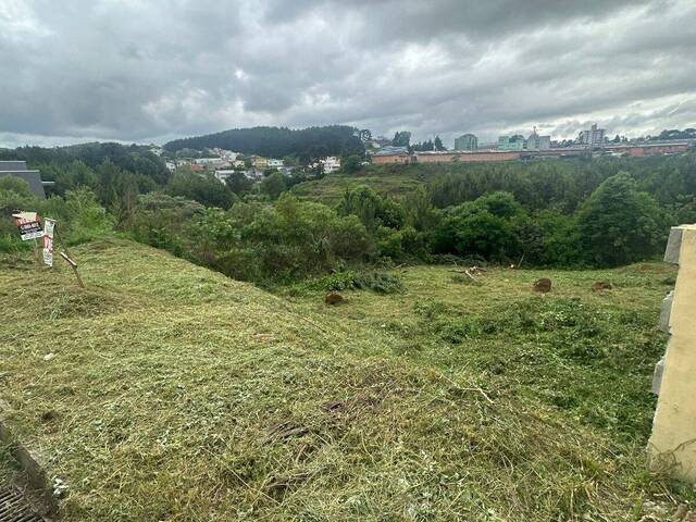 #21 - Área para Venda em Caçador - SC - 2