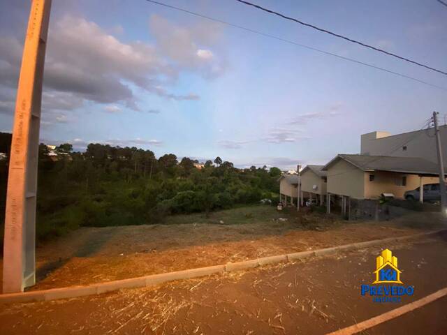 #21 - Área para Venda em Caçador - SC - 3